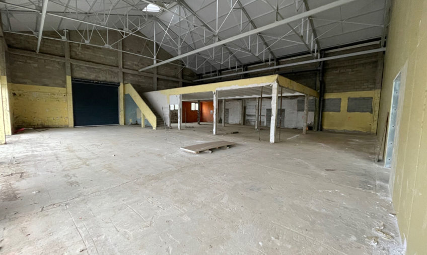 LOCAL ACTIVITE PREMIER RIDEAU BREST KERGONAN A LOUER - 1006