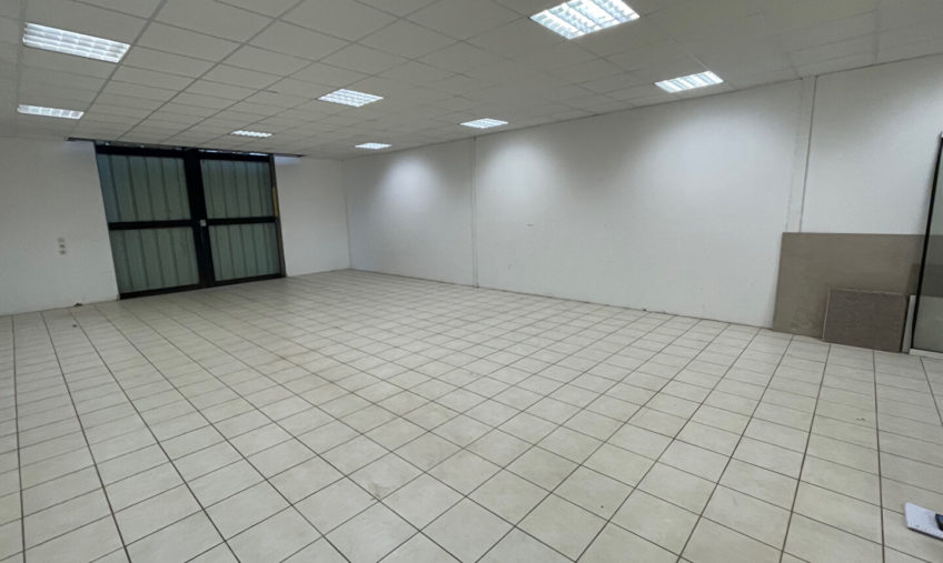 LOCAL ACTIVITE PLOUDANIEL MESCODEN A LOUER - 1009