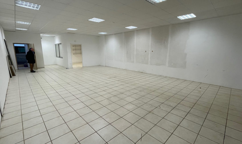 LOCAL ACTIVITE PLOUDANIEL MESCODEN A LOUER - 1009