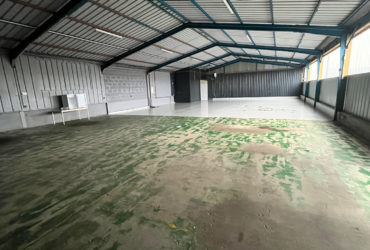 LOCAL ACTIVITE NEUF PLOUEDERN SAINT ELOI  A LOUER