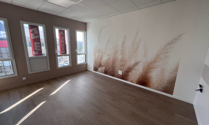 A LOUER – PLOUGASTEL DAOULAS – BUREAUX DE 47 M² - 2053
